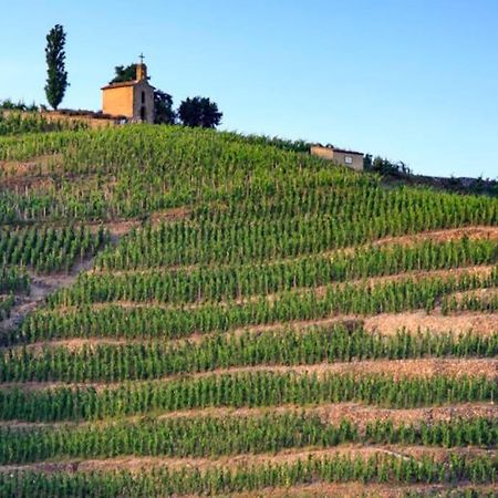 Apartmán Pres Des Vignes Crozes-Hermitage Exteriér fotografie