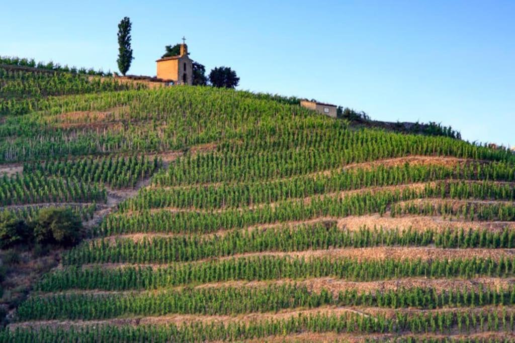 Apartmán Pres Des Vignes Crozes-Hermitage Exteriér fotografie